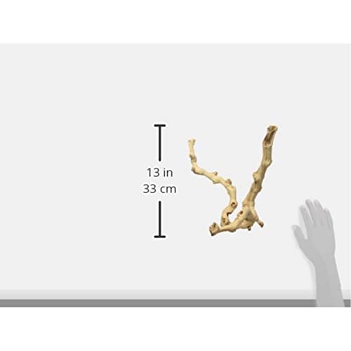 Zoo Med Sandblasted Grapevine, Medium, 12-Inch