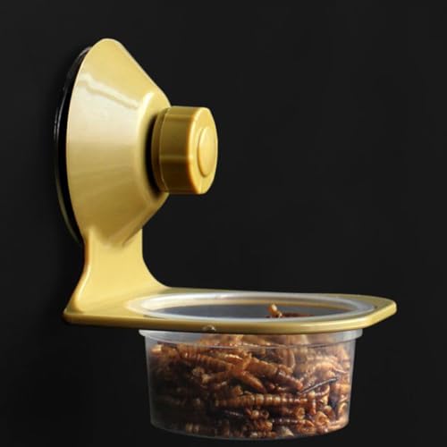 BESPORTBLE 2pcs Reptile Food Basin Suction Cup Feeder Accessories Set with Single and Double Bowls for Lizards and Amphibians Terrarium Feeding