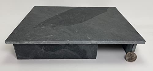 TheFrogHouse Slate Stone Reptile Hide 10x8x2.5 Natural Cave Decor