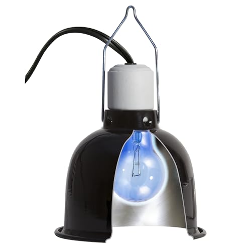 Zoo Med Daylight Blue Reptile Bulb 100 Watts - Pack of 12