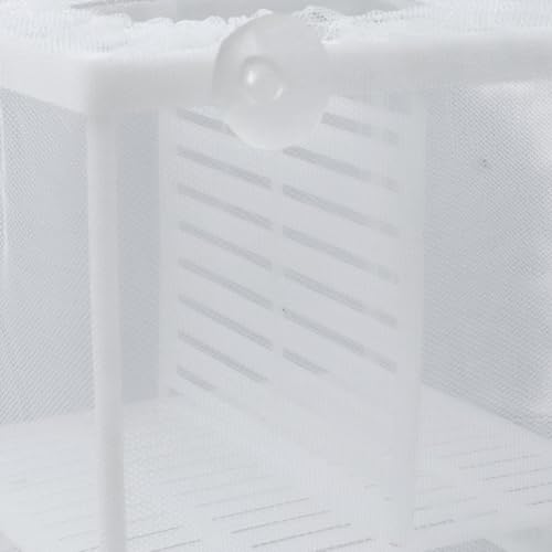 MY MIRONEY 2PCS 6.3" x 5.51" x 5.91" Fish Tank Breeder White Nylon Fish Incubator Mesh Box Aquarium Fish Fry Hatchery Breeder with Suction Cups (with Divider) - style: 6.3" x 5.51" x 5.91"; White; with Divider