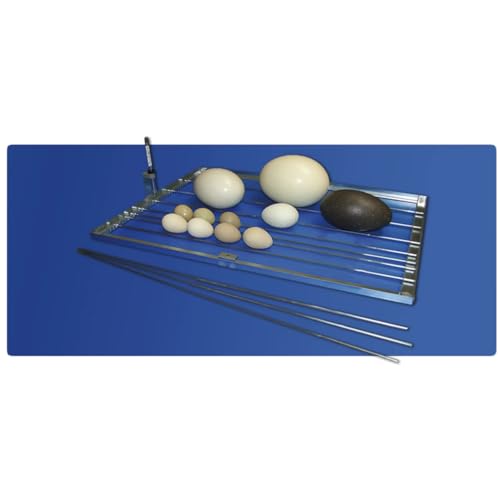 The Incubator Store EVO 72 Digital Incubator | Automatic Egg Turning | LCD Temperature & Humidity Control | Multi-Species Egg Incubator | Fan-Assisted Airflow