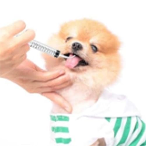 Baby Bird Feeding Syringe Set, Pet Parrot Milk Feeding Syringe with Tubes, Manual Syringe Feeder, Liquid Food, Reusable, Syringe with Spoon Tip(10ml*2+12ml*2+20ml+60ml)