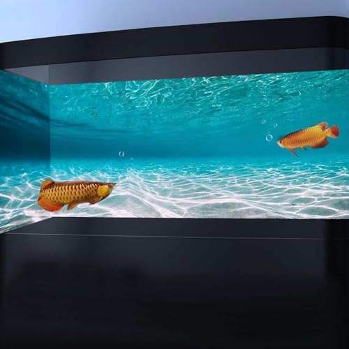 24X12IN Natural Undersea Aquarium Background, Undersea Beach Fish Tank Background, with 8 EVA Double-Sided Tape - color: Sea, size: 24X12in/60X30cm