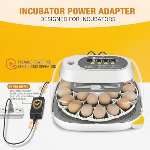Sailnovo Incubator for 24 Eggs, 4 Modes Egg Incubator with Automatic Egg Turning, Temperature Control and Humidity Alarm - 360°View with Clear Window Incubators for Hatching Chicks(Grey)