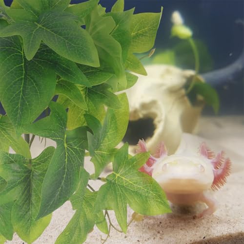 BESPORTBLE 2pcs Artificial Hanging Plant Pendant with Suction Cup for Reptile Terrarium Habitat Decor, 46 Leaves Monstera and Sweet Potato Vine Simulated Plastic Plants for Amphibians