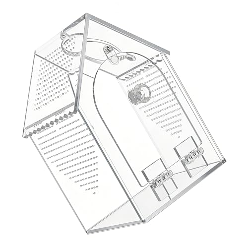 Clear Acrylic Reptiles Habitat Box with Ventilation Holes 12x12x20cm Reptiles Terrarium for Pets and Educational Use Comprehensive Fly Container