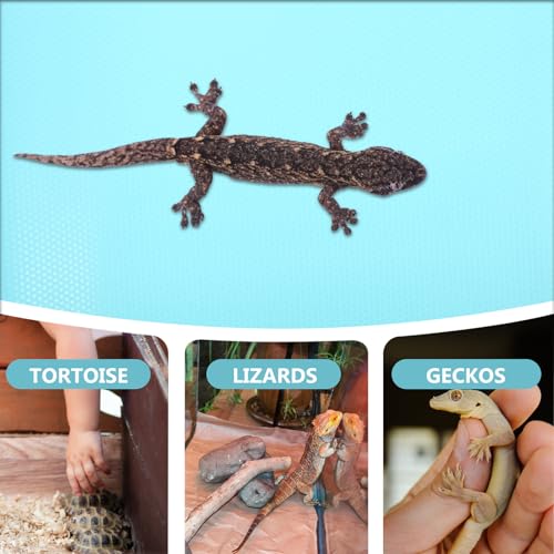 Reptile Carpet for Terrarium Bedding Mat Soft Substrate Liner for Bearded Dragon Snake Lizard Leopard Gecko Tortoise Tank Accessory Non-Toxic Washable Blue
