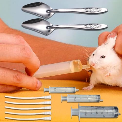 Baby Bird Feeding Syringe Set, Pet Parrot Milk Feeding Syringe with Tubes, Parrot Feeding Tubes Measuring Tools for Feeding Pets Scientific Industrial Labs… (10ml+20ml+ 60ml +2 spoons) - color: 10ml+20ml+ 60ml +2 spoons