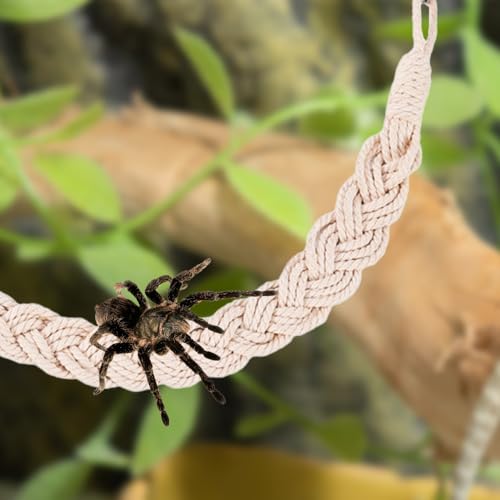 MiOYOOW Hermit Crab Rope Toys, 2PCS Hanging Hermit Crab Vines Toys with Suction Cups, Reptile Tank Terrarium Accessories for Lizards Geckos Snakes Hermit Crabs Spiders