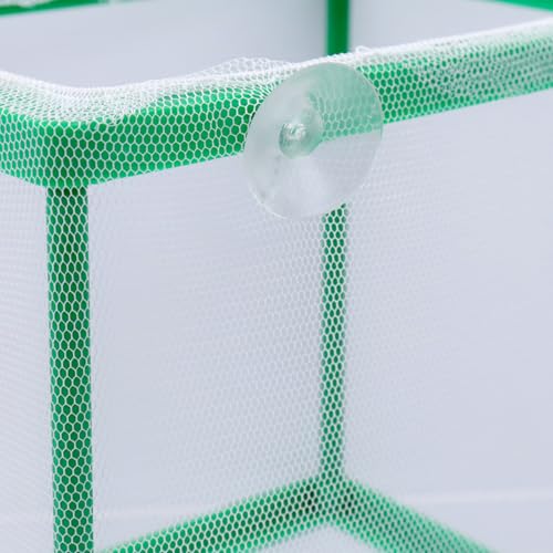 MY MIRONEY 2PCS 6.69" x 5.04" x 6.38" Fish Tank Breeder Green Nylon Fish Incubator Mesh Box Aquarium Fish Fry Hatchery Breeder with Suction Cups - style: 6.69" x 5.04" x 6.38"; Green; without Divider