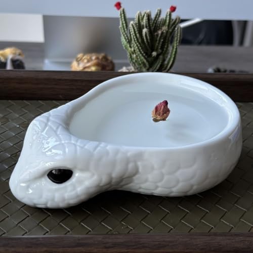 Reptile Water Dish - Snake Water Bowl, Gecko Food Cups, Crested Gecko Feeding Dish, Tortoise Food Bowl, Stable Resin Design for Small Reptiles, Perfect for Terrariums and Enclosures (White) - color: white