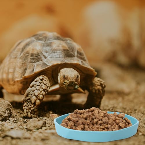 COMSUN 4 Pack Small Reptile Food Dish Bowl, Plastic Worm Water Dish Plate for Lizard Gecko Bearded Dragon Chameleon 4" W x 4" D x 0.5" H, Blue and Yellow - color: Blue and Yellow