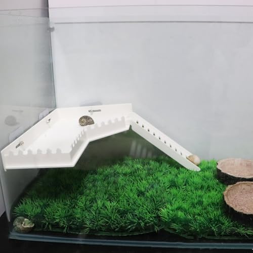 No-Drill Climbing Platform with Ramp, Hermit Crab Climbing Wall & Hideout, Multi-Level Platform with Ladder, No-Tools Mounting for Geckos, Small Lizards, Hamsters - color: White