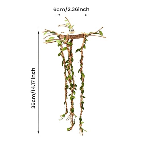 Jumping Spider Enclosure Accessories – Wood Cotton Rope 6x6x1cm 36cm Vine Set | Reptile Cage Climbing Toys for Habitat Enrichment | Natural Terrarium Decoration for Jumping Spiders Lizard