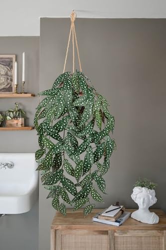 Large Fake Hanging Plants in Pot with Hook, 37" Artificial Hanging Begonia Vines Plants, Fake Potted Tropical Plants for Room Wall Living Room Bathroom Kitchen, Big Faux Ivy Houseplants for Shelf - color: # Green Anthurium Crystallinum