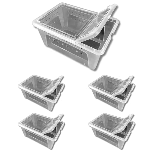 Jungle Bob - Clear Plastic Reptile Terrarium Box - Easy Pet Transportation - Enclosure for Small Herps - Side Ventilation - Clear View - Fade Resistant - Medium - 10.25" x 7" x 4.5" (5 Pack) - size: Medium, style: 5 Pack
