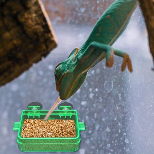 Reptile Feeder Chameleon Bowl 2 Pcs Anti-Escape Food Dish Bowl with Suction Cup for Chameleon Iguana Lizard Reptile Food and Water Feeding (Green, S)