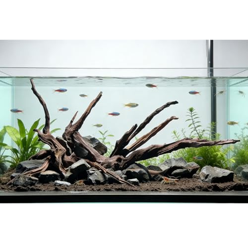 Natural Aquarium Decoration Driftwood Tree Trunk with Rockery View, Unique Dead Wood Root Hideouts for Fish & Reptiles, Landscape Enhancer (Random Shape, 10-15cm Length, 3-Pack)