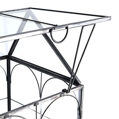HighFree Glass Terrarium with Metal Tray, Glass Greenhouse Terrarium Kit for Succulents, Cacti, Snails, Spiders, and Miniature Reptiles, Black (Small-5.9" L x 5.9" W x 10.2" H) - size: Small-5.9"L x 5.9"W x 10.2"H