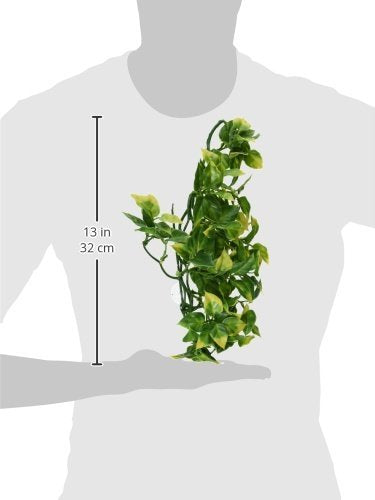 Exo Terra Plastic Terrarium Plant, Medium, Amapallo - color: Blue, size: Medium