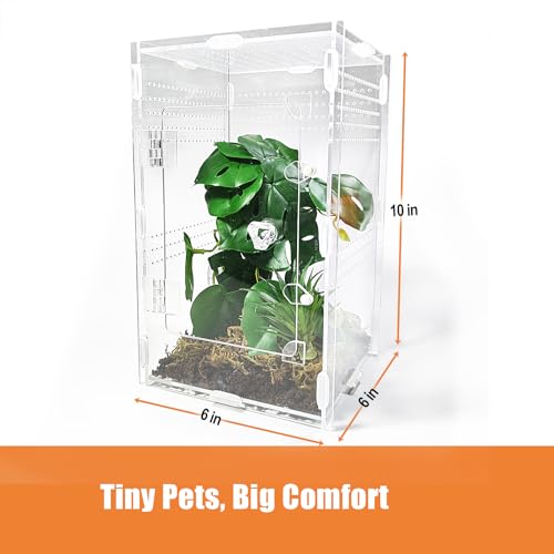 Acrylic Jumping Spider Enclosure Large 6”x6”x10” with Front Door, Arboreal Tarantula Enclosure, Praying Mantis Habitat for Spider, Mantis, Snail, Tarantula, Isopods, Beetles, Millipedes
