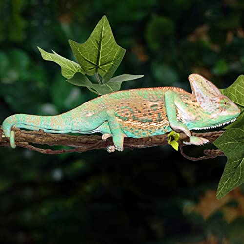 2pcs Lizards Climbing Vine Suction Cup Branch Branch Small Animal Climbing Vine Comfortable Suction Cup