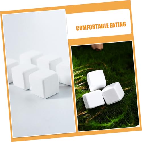 BESPORTBLE 30pcs Natural for Reptiles and Amphibians and Growth for Tortoise Turtle Lizard Frog and Chameleon Enrich Water Quality and Strengthen Immunity
