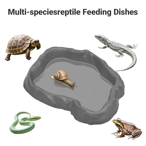 2 Pack Snail Food and Water Bowl,atural Design Food Bowl for Pet Snails, Garden Snails Pet Land Snail Supplies - color: gray