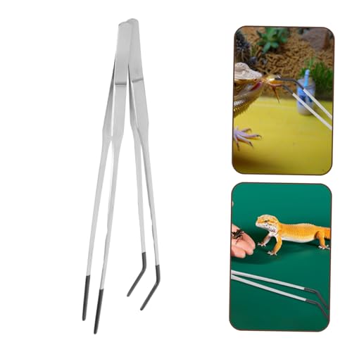 2pcs Reptile Feeding Tongs with Rubber Tips Stainless Steel Curved Tweezers for Easy Operation Aquariums Lightweight and Portable Feeding Tools for Snakes Lizards and Terrariums