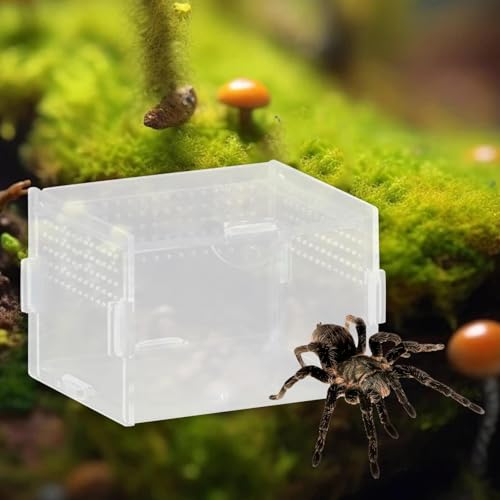 Reptile Breeding Box Terrarium Habitat Tank Transparent Acrylic Enclosure with Ventilation Holes for Snakes Frogs Turtles Geckos Small Animals- 10x8x7cm