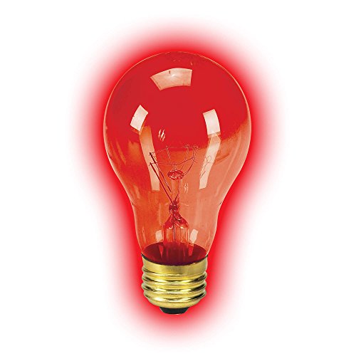 Zilla 4 Pack of Night Red Heat Incandescent Bulbs, 100 Watts, Provides Ambient Terrarium Heat