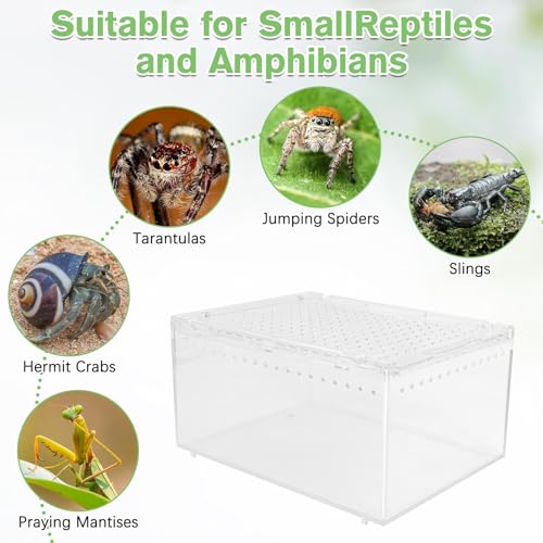 Reptile Terrarium Enclosure 8"x6"x4" Acrylic Tarantula Breeding Box Magnetic Hermit Crab Habitat Transparent Jumping Spider Cage for Insect Snail Amphibians Sling Isopods