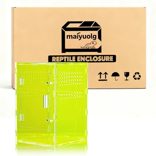 8x8x12 Reptile Enclosure Acrylic Terrarium – Cyberpunk Light Green Reptile Tank Featuring New Caledonia Rainforest Style for Geckos & Invertebrates - color: LightGreen