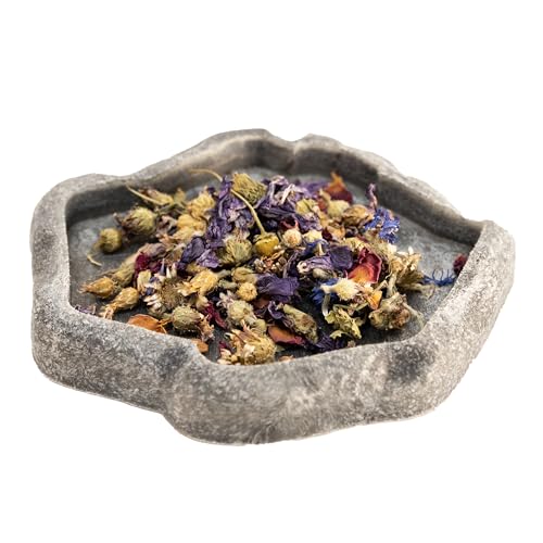 Zoo Med Tortoise & Box Turtle Flower Food Topper 1.4 oz - Pack of 10