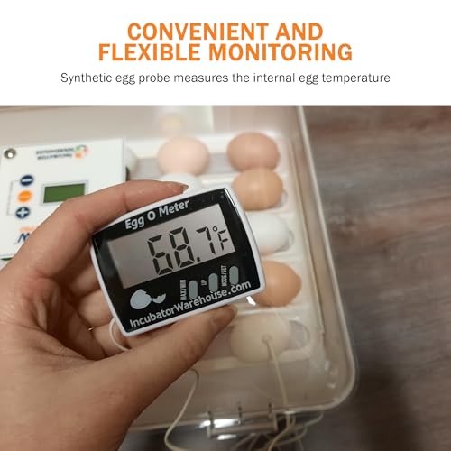 Egg-O-Meter™ - Large Digital Display Egg Thermometer with Min/Max Memory