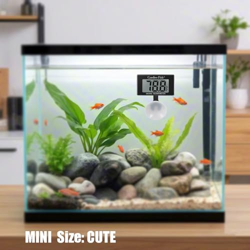 Carefree Fish Aquarium Underwater Thermometer for Saltwater and Freshwater Replaceable Battery Temperature Error ±1℉