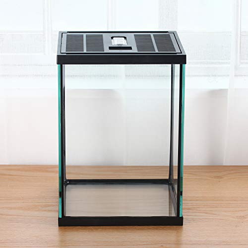 Vertical Glass Terrarium for Mantis, 7.8 x 7.8 x 10.8 in | 2.84 US Gal Glass Insect Habitat Kit for Tarantula Sling, Snail and Small Insects, Animals Not Included