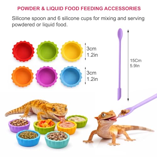 17Pcs Crested Gecko Tank Accessories Kit – Feeding Ledge with Strong Suction Cups, Blue Hideout Tray, Plastic Feeding Bowl, 6 Cresteds Geckos Cups & Crested Gecko Spoon