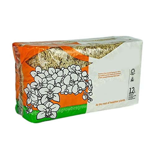 Sphagnum Moss Dried Spagnum Dry Moss for Reptiles Bedding and Terrarium Pet Supplies 150g, Dried, Sphagnum