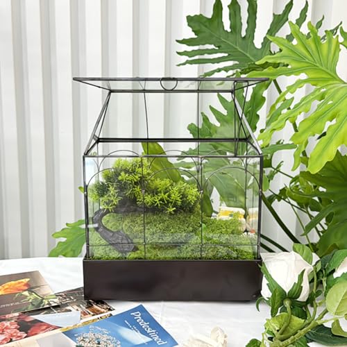 HighFree Large Glass Terrarium with Metal Tray, Glass Greenhouse Terrarium, Succulent Terrarium Kit for Succulents, Cacti, Snails, Spiders, and Miniature Reptiles, Black (Velvet Bottom)