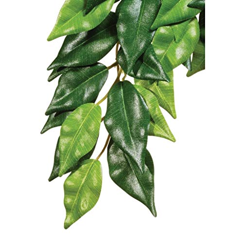 Exo Terra Silk Terrarium Plant, Medium, Ficus - color: Multi Color, size: Medium