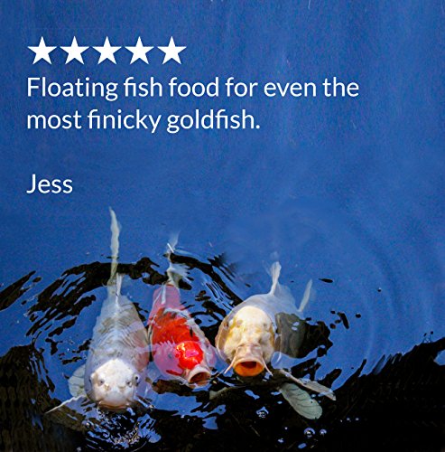 API POND FISH FOOD Pond Fish Food 11.5-Ounce Bag - size: 0.72 Pound (Pack of 1)