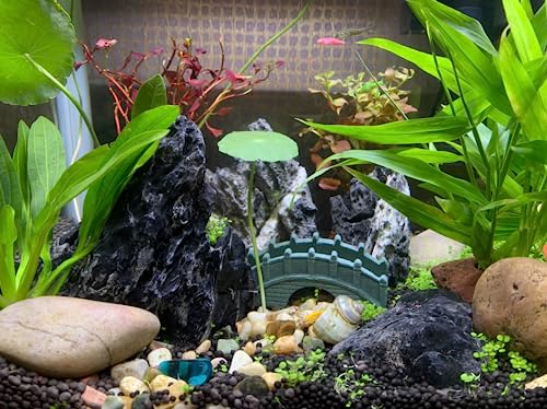 Unocho Seiryu Rock Aquarium Stones 11lb Natural Dragon Stone for Aquascaping Fish Tank Aquarium Landscaping Model Tank Decoration Miniature Fairy Garden(3-8 Inches) - size: 11LB(3-8 inches)