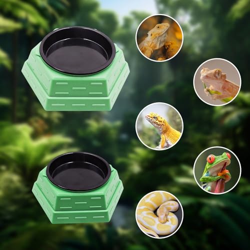 Bearded Dragon Tank Accessories, Reptile Maze Food Bowl and Water Bowl 2-in-1, Reptile Water Dish, Tank Accessories for Bearded Dragon, Ball Python, Gecko, Snake - size: Small