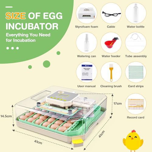 Sailnovo 48 Egg Incubator for Hatching Eggs with Auto Egg Turning, Precise Temp & Humidity Control, 360°Viewing, Egg Candler, Incubator for Chicken Eggs/Duck/Quail,Ideal for Farm/School/Lab,Green
