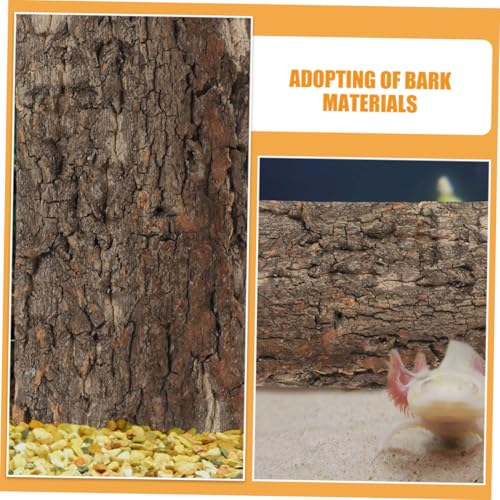 BESPORTBLE 3pcs Natural Reptile Bark Background Panels for Fish Tank and Terrarium Decor Cork Bark Material Safe Habitat for Lizards Snakes and Amphibians
