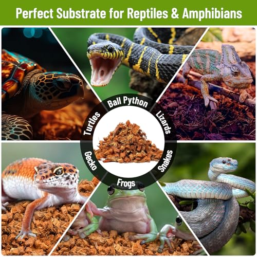 Riare 2 Pack Natural Coconut Chip Substrate for Reptiles- Compressed Coconut Husk Reptiles Bedding, Coco Husk Chip Terrarium Substrate for Snakes, Tortoises, Ball Python, Frogs, Bearded Dragon, Lizard - color: 2 Pack