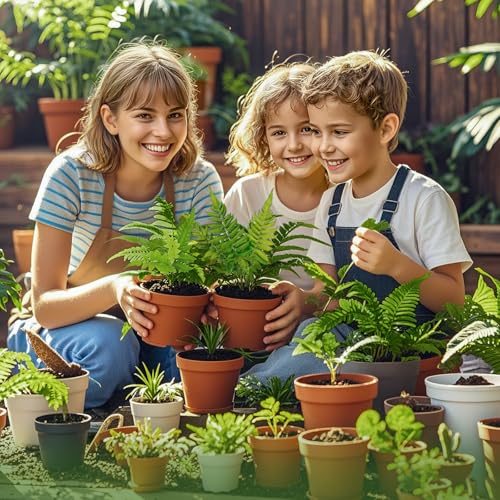 Doter Potting Soil Mix for Fern 10qt, Custom Hand Blended Mixture Suitable for Indoor/Outdoor Potted Fern Plant - size: 10qt
