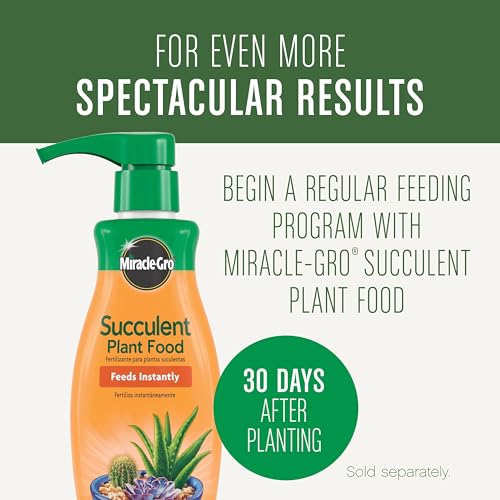 Miracle-Gro Succulent Potting Mix, 4 qt. | For Indoor Succulents, Aloe Vera and More, Made with Miracle-Gro Plant Food - size: 1 Pack, style: Succulent